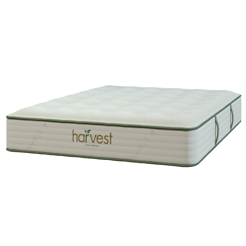 Harvest Green Vegan Original Mattress - Sachi Organics 