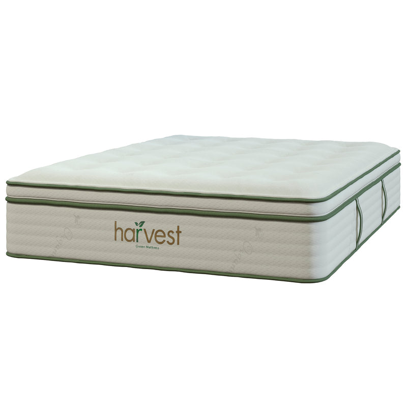 Harvest Green Vegan Pillow Top - Sachi Organics 