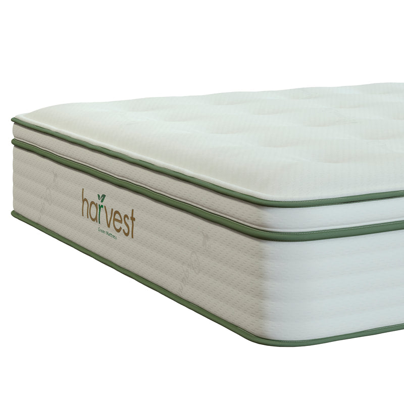 Harvest Green Vegan Pillow Top - Sachi Organics 