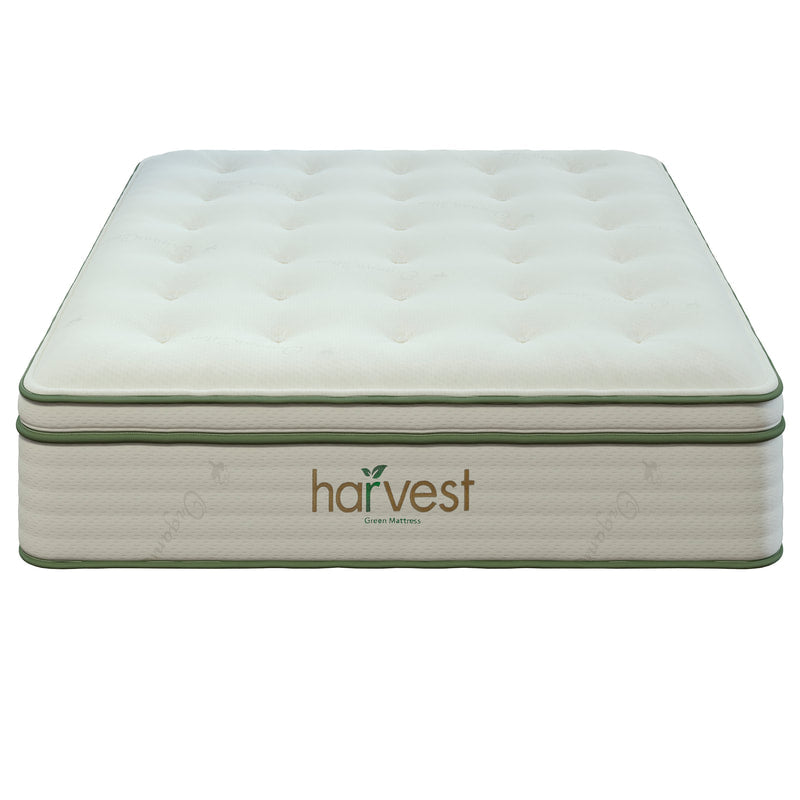 Harvest Green Vegan Pillow Top - Sachi Organics 