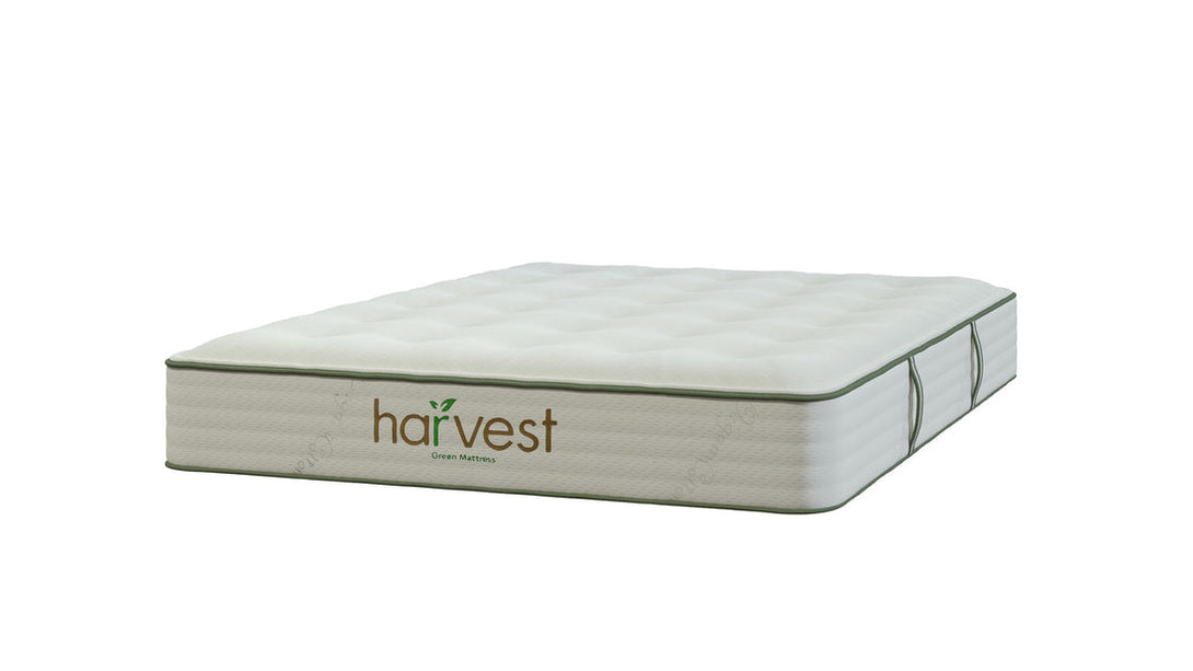 Harvest Green Vegan Original Mattress - Sachi Organics 