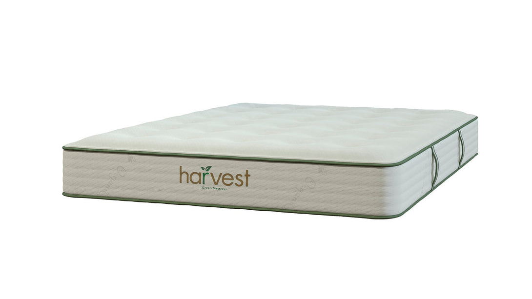 Harvest Green Vegan Original Mattress - Sachi Organics 