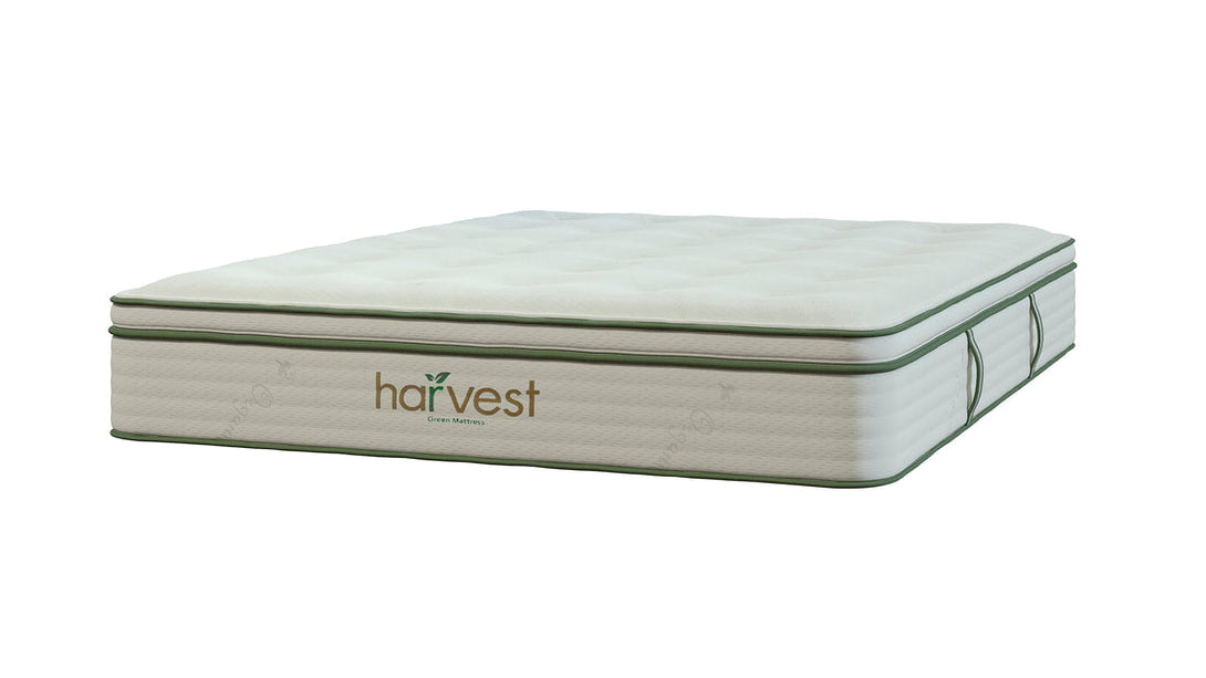 Harvest Green Vegan Pillow Top - Sachi Organics 