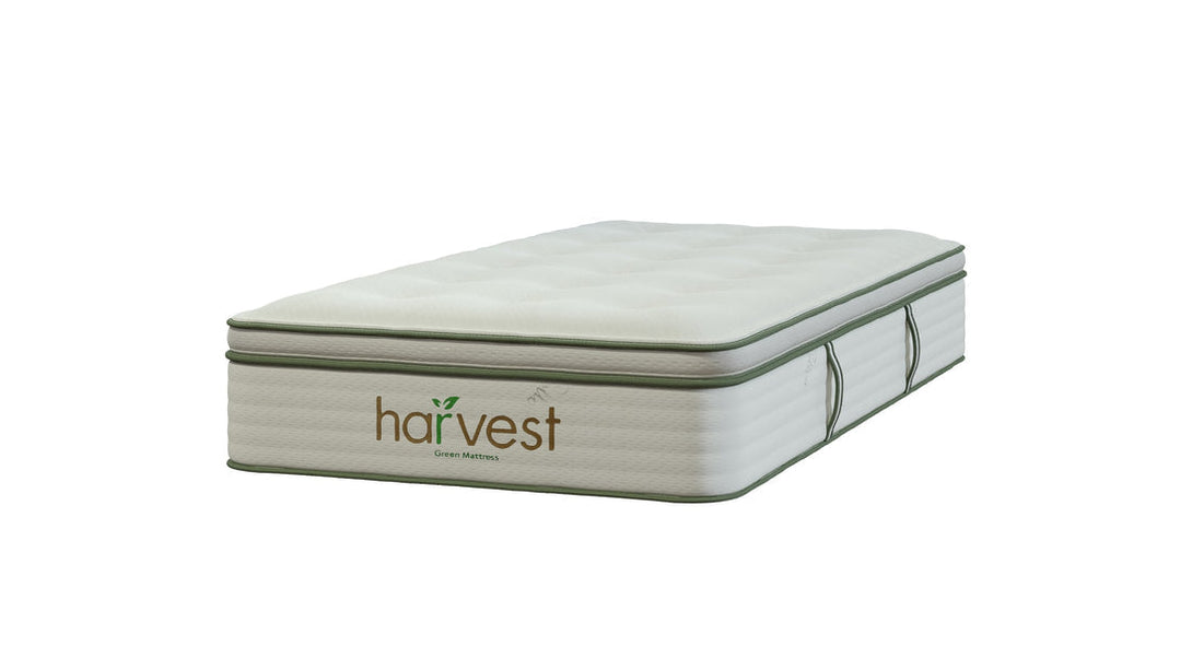 Harvest Green Vegan Pillow Top - Sachi Organics 